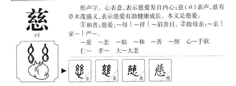 慈字五行|慈